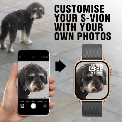 S_VION_CUSTOMISED_DIAL